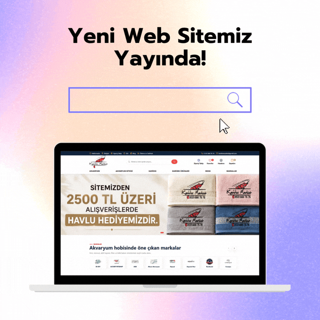 Popup